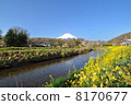 Fuji 020 8170677