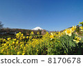 Fuji 021 8170678