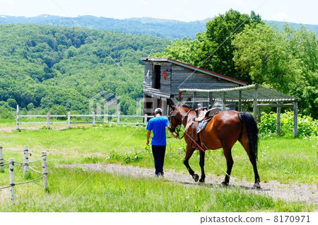 horse riding horse riding 8170971