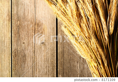 Rye spikelets over wooden background 8171109