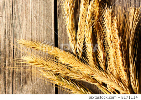 Rye spikelets over wooden background 8171114