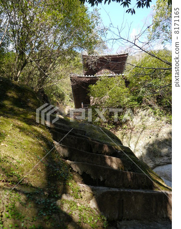 亞泰吉第71號 亞泰吉第71號 8171165