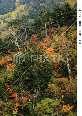 Awao Anba Pass 8171222