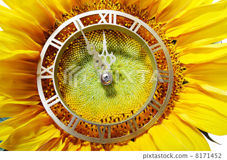 Approach of New Year Approach of New Year 8171452