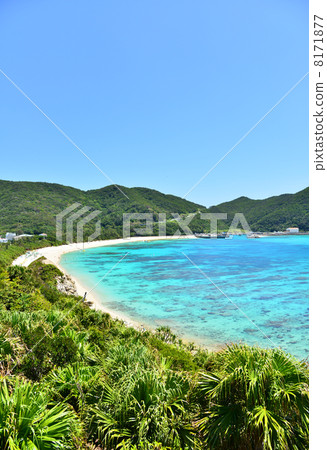Awanna Beach 8171877