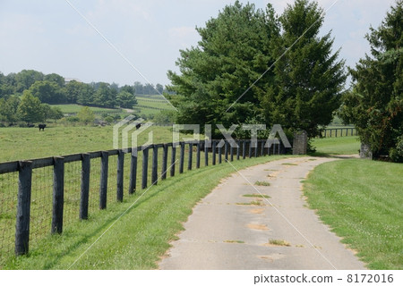 American Leaf Tobacco Farmer 8172016