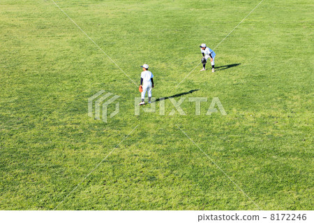Juvenile baseball 8172246