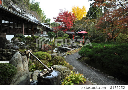 京都Oriwaraji的秋天 8172252
