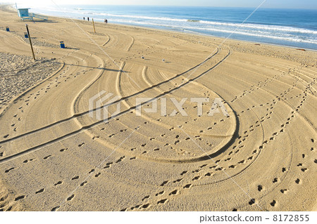 Santa Monica Beach 8172855