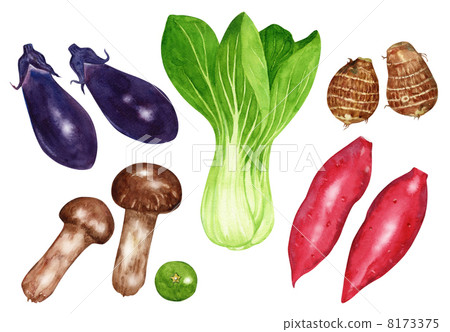 Autumn taste eggplant matsutake mushrooms blue sweet potato sweet potato sweet potato Autumn taste eggplant matsutake mushrooms blue sweet potato sweet potato sweet potato 8173375