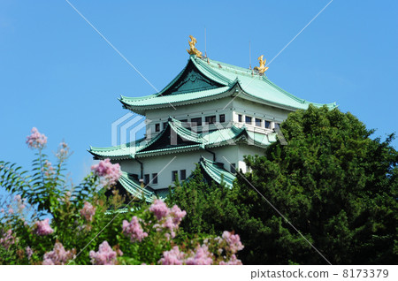 Nagoya Castle Nagoya Castle 8173379