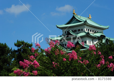 名古屋城堡 名古屋城堡 8173380