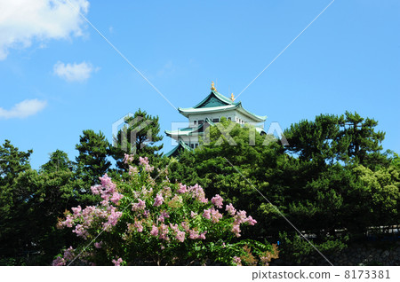 名古屋城堡 名古屋城堡 8173381