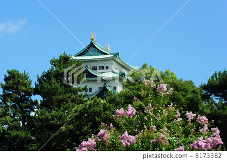 名古屋城堡 名古屋城堡 8173382