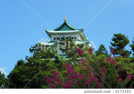 Nagoya Castle Nagoya Castle 8173383