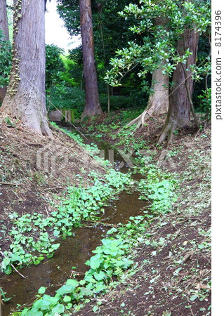 nobidomeyosui stream, musashinokuni, edo shogunate 8174396