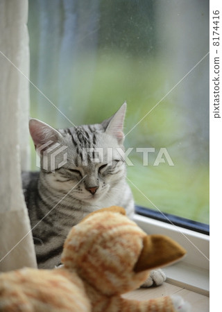 I do not want to lose to him .... I do not want to lose to him .... 8174416