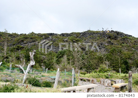 Streak blight phenomenon Streak blight phenomenon 8174843