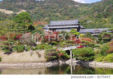 Mori Mori garden in autumn 8175047