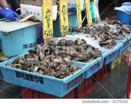 Rock Kaki Nakaminomin Fish Market Rock Kaki Nakaminomin Fish Market 8175332