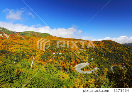 Norikura迴聲線的秋葉 8175464