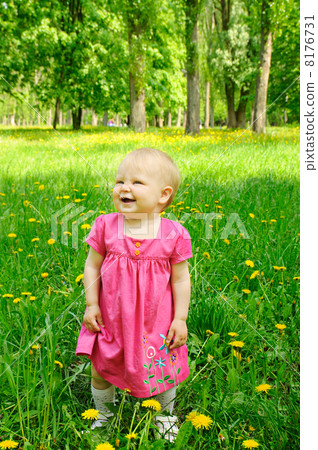 euro banknotes euro banknotes 8176731