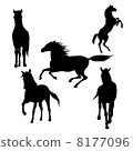 Horse silhouette 8177096