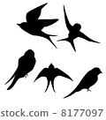 Swallow silhouette 8177097