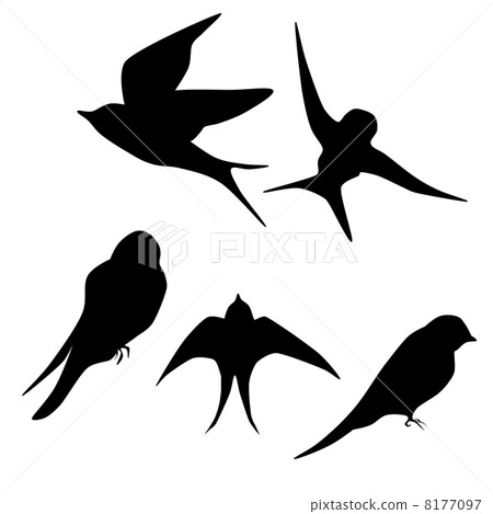Swallow silhouette 8177097