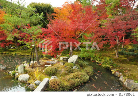 京都Tenryu籍寺廟秋葉 8178061