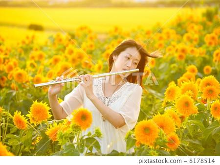 Flute player Flute player 8178514