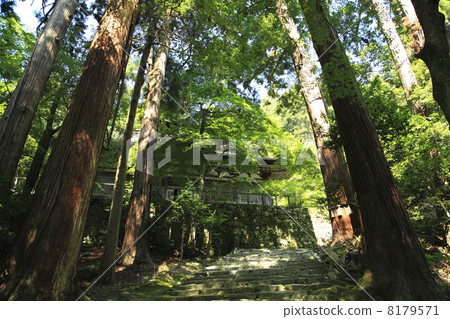 Baekjeji入口道路 8179571