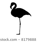 Flamingo silhouette 8179888