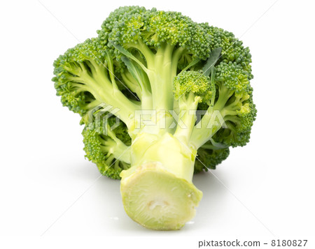 西蘭花白色背景 西蘭花白色背景 8180827