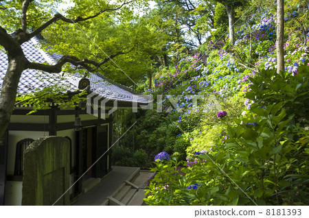 Looking at the treasury from Hase-dera Wandering walking road 8181393