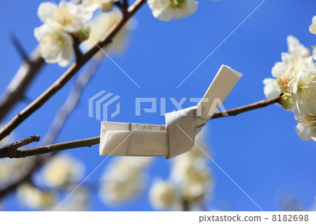 Ume and Omikuji 8182698