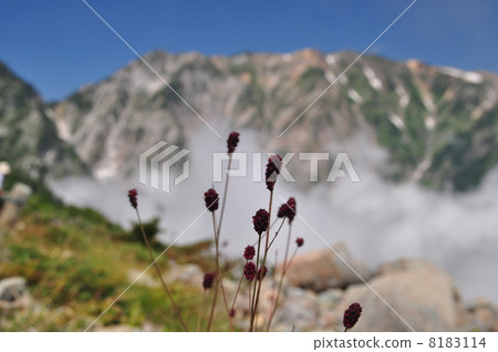 Happo One Nature Trail 8183114