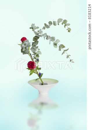 Ikebana 8183214