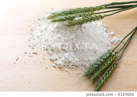 麵粉和小麥 8183608