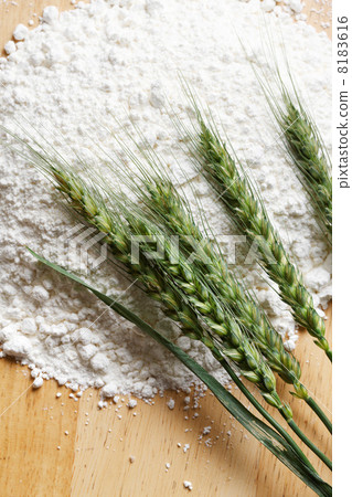 麵粉和小麥 8183616