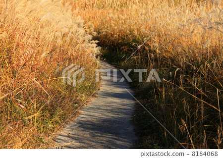 Nara, Sogen Plateau 8184068