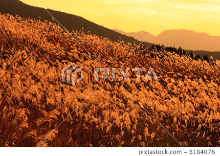 奈良，索根高原 8184076