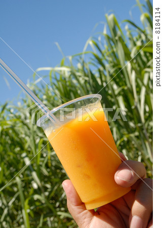 Miyakojima·芒果汁 8184114
