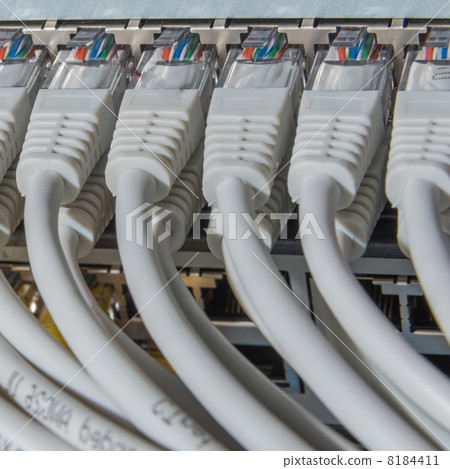 network cables connected to switch 8184411