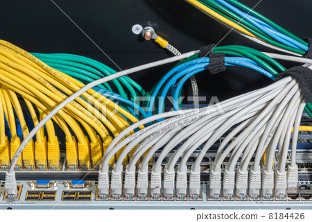 network cables connected to switch 8184426