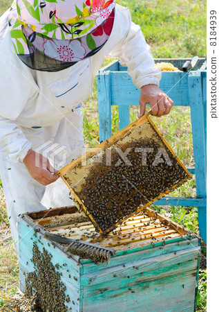 beekeeper at work 8184939