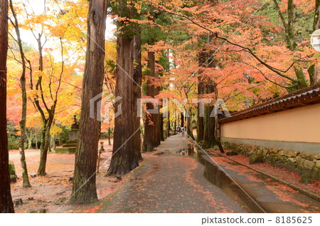 Fall of French Temple 8185625