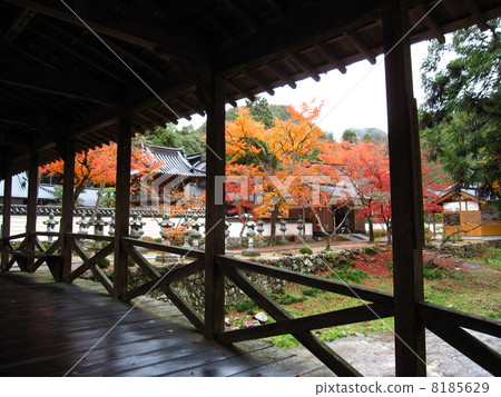 Fall of French Temple 8185629