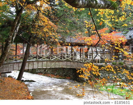 Fall of French Temple 8185631