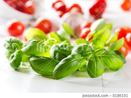 fresh green basil with cherry tomatoes 8186101